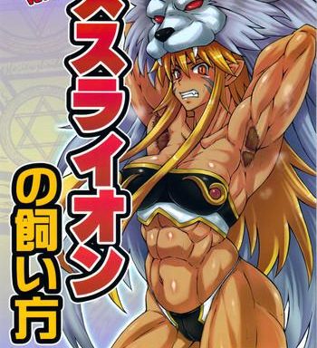 mesu lion no kaikata cover