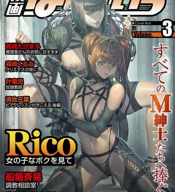 web manga bangaichi vol 3 cover