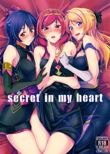 secret in my heart cover 1