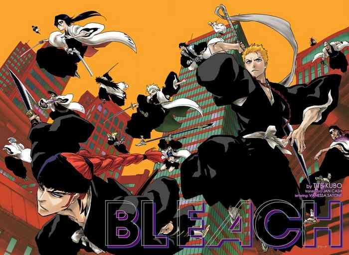bleach 20th anniversary special one shot cover