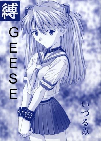geese cover