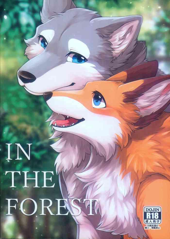 in the forest cover