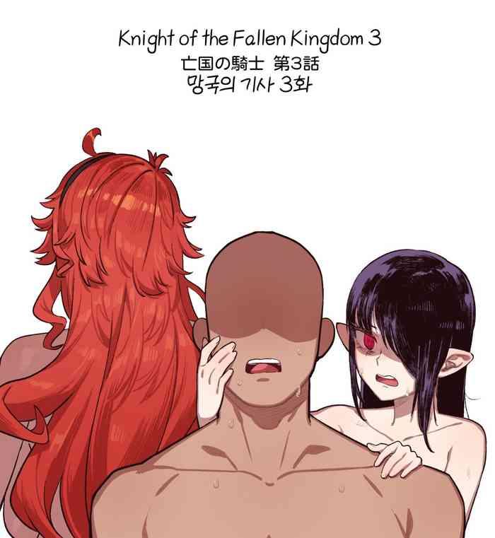 knight of the fallen kingdom 3 cover