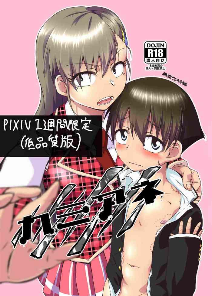 kamiane cover