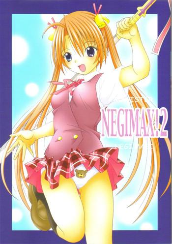 negimax 2 cover