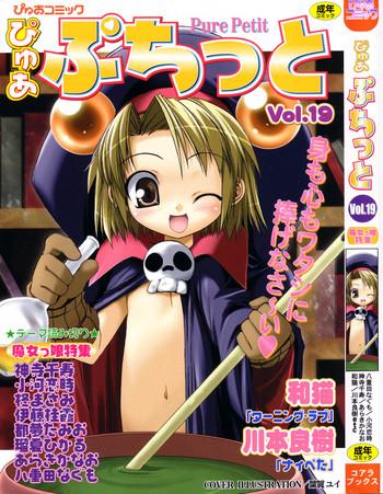 pure petit vol 19 cover