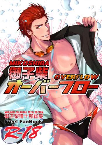 mikoshiba overflow cover