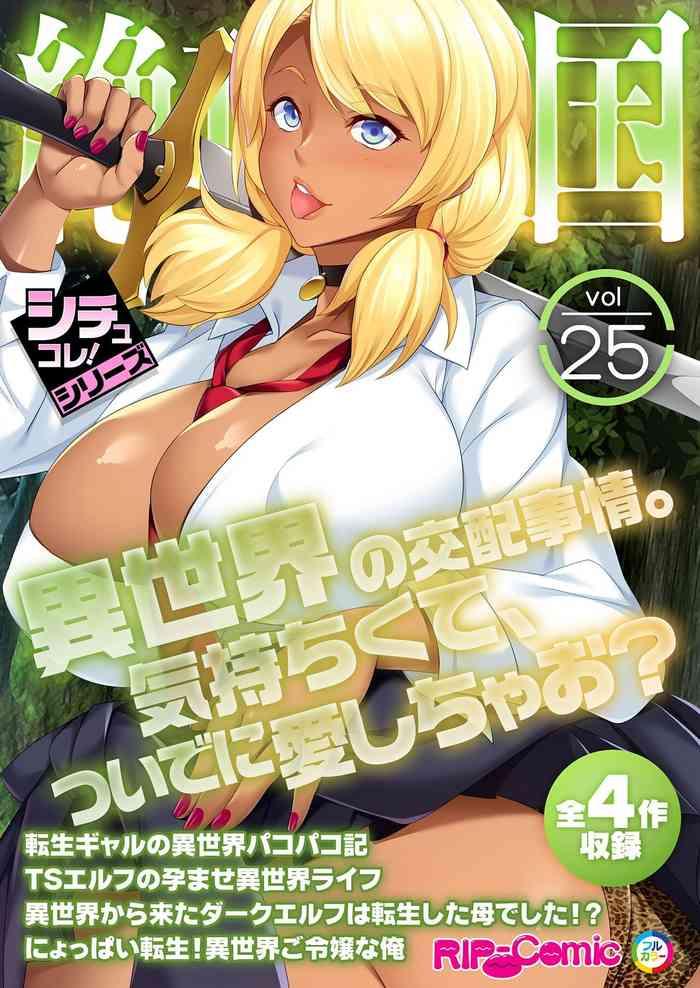 vol25 cover