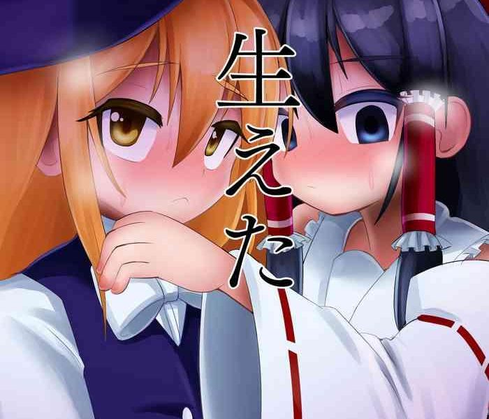 no king touhou project digital cover